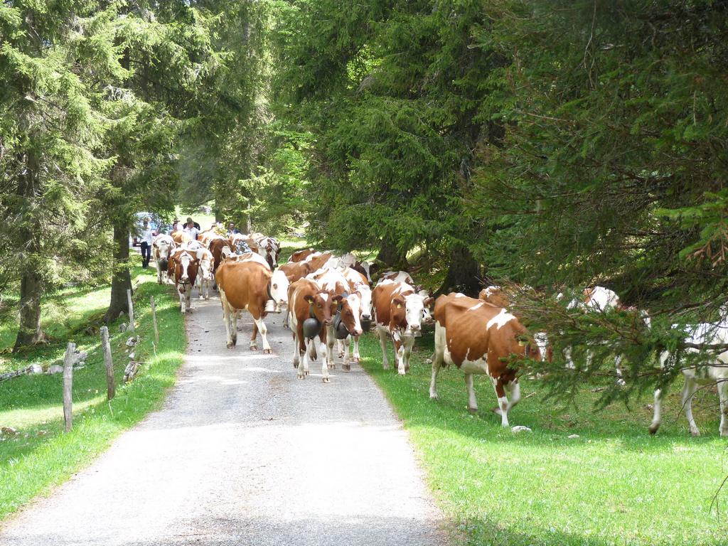 Clic pour l'image suivante