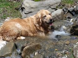 Click to see big picture (1024x768 pixels; 203 KB)