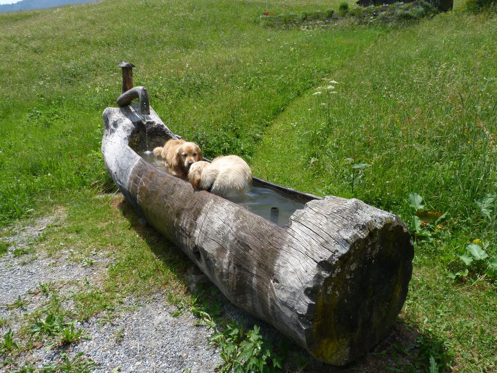 Clic pour l'image suivante