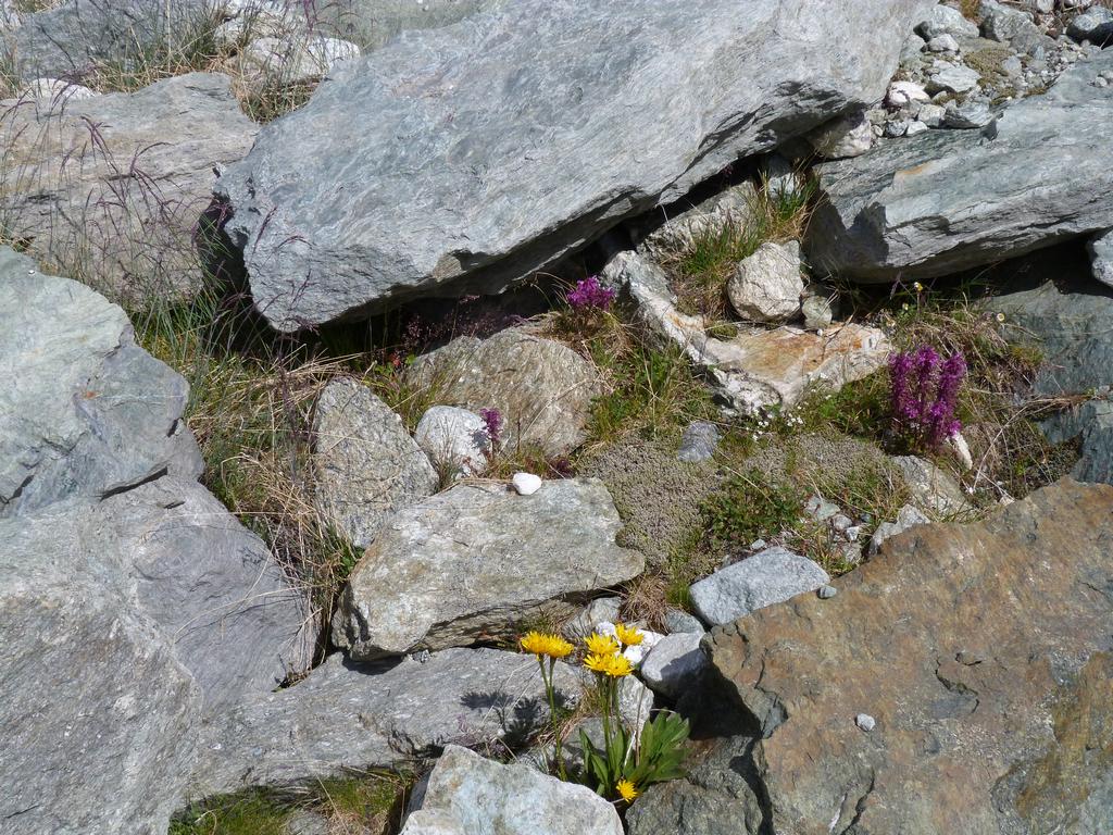 Clic pour l'image suivante