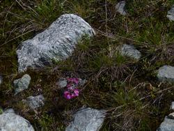 Clic pour agrandir l'image (1024x768 pixels; 220 KB)