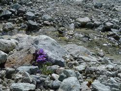 Clic pour agrandir l'image (1024x768 pixels; 225 KB)