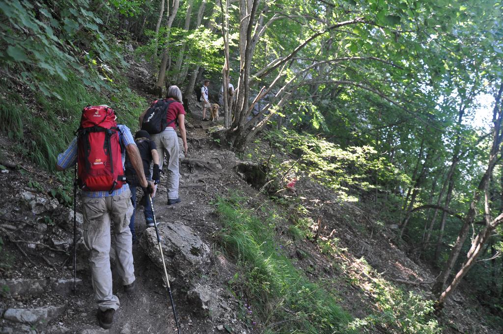 Clic pour l'image suivante