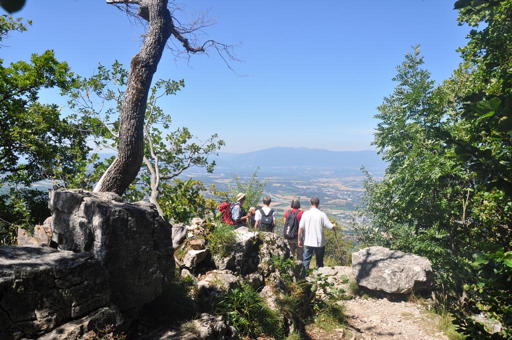 Clic pour l'image suivante