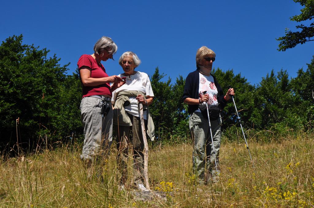 Clic pour l'image suivante