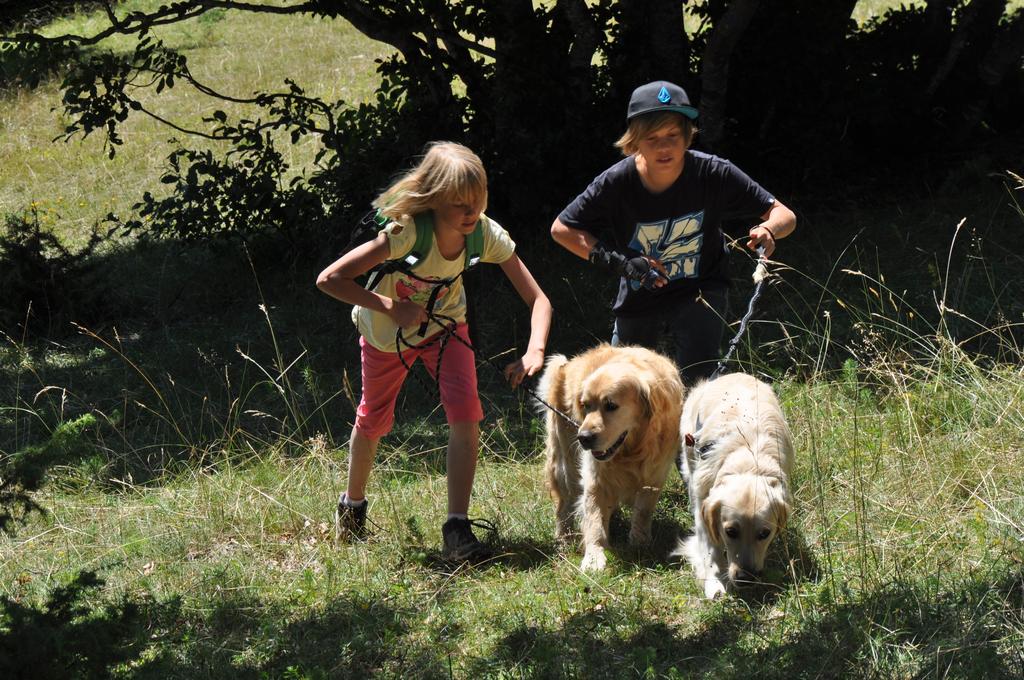 Clic pour l'image suivante