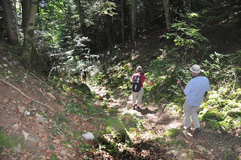 Clic pour l'image suivante