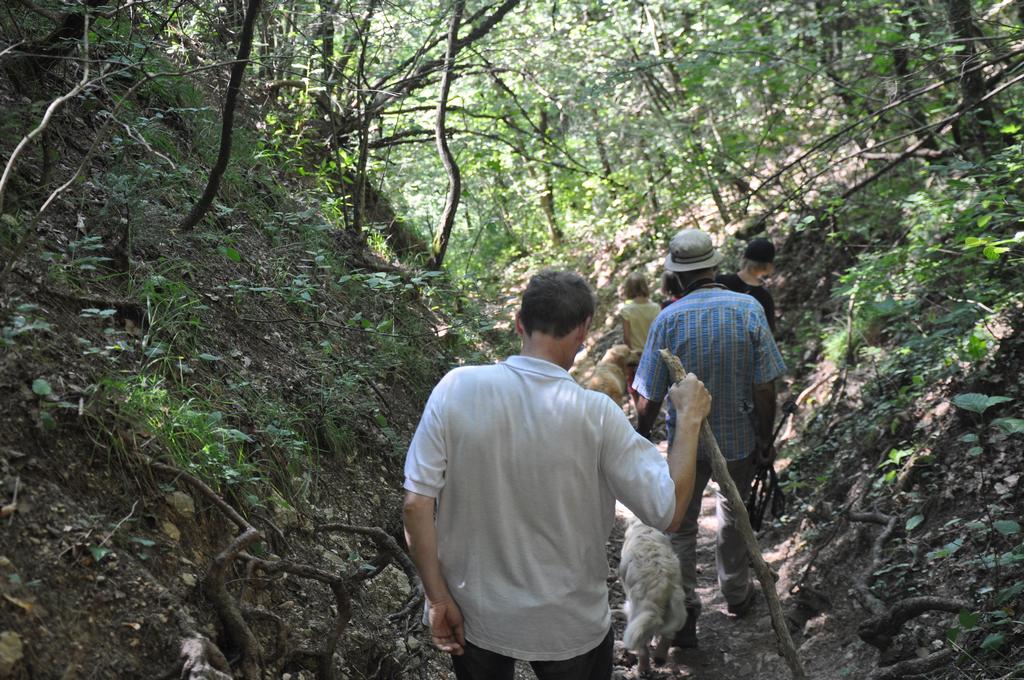 Clic pour l'image suivante