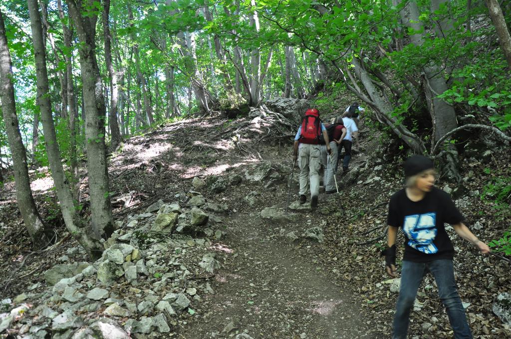 Clic pour l'image suivante