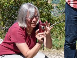 Clic pour agrandir l'image (1024x768 pixels; 170 KB)