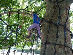 Clic pour agrandir l'image (1024x768 pixels; 200 KB)