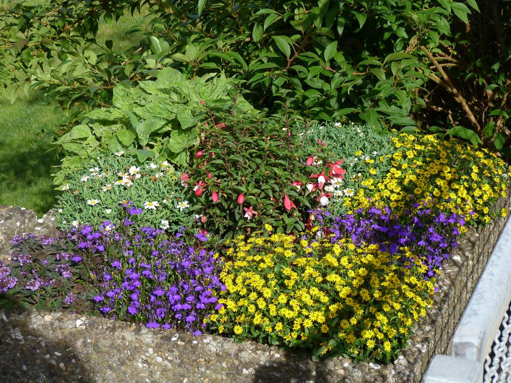 Clic pour l'image suivante