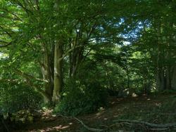 Clic pour agrandir l'image (1024x768 pixels; 175 KB)