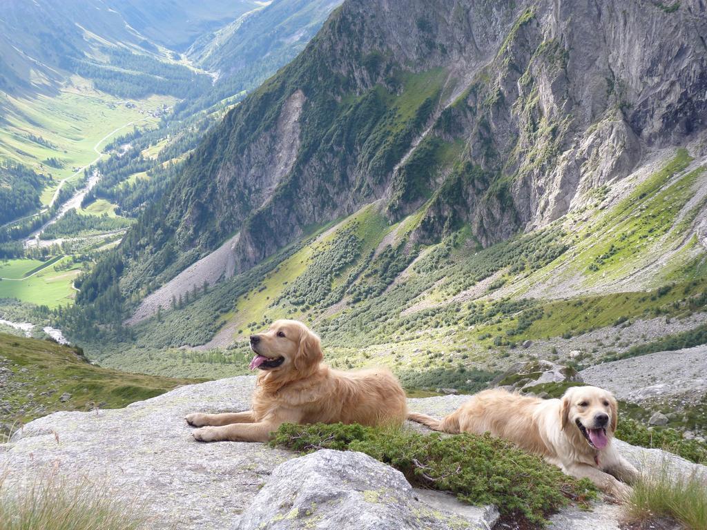 Clic pour l'image suivante