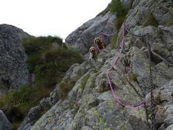 Clic pour agrandir l'image (1024x768 pixels; 163 KB)