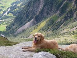 Clic pour agrandir l'image (1024x768 pixels; 185 KB)