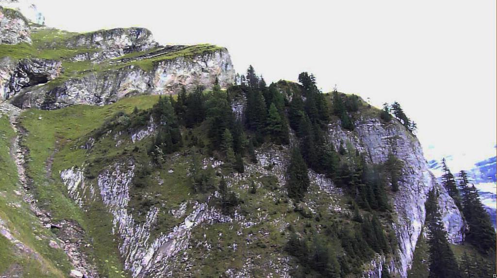 Clic pour l'image suivante