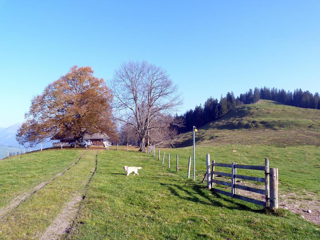 Clic pour l'image suivante