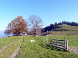 Clic pour agrandir l'image (1024x768 pixels; 165 KB)