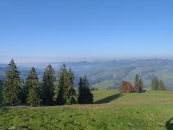 Clic pour agrandir l'image (1024x768 pixels; 90 KB)