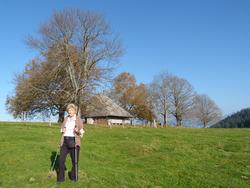 Clic pour agrandir l'image (1024x768 pixels; 147 KB)