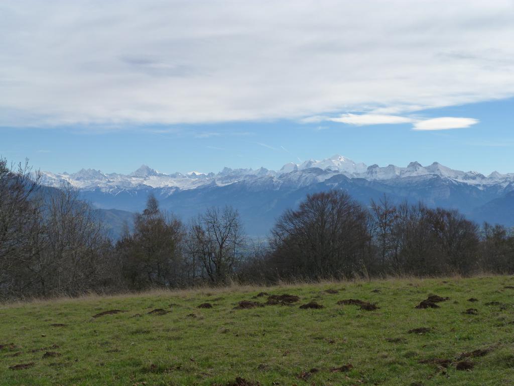 Clic pour l'image suivante