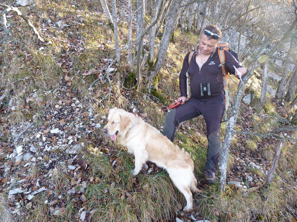 Clic pour l'image suivante