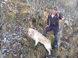 Clic pour agrandir l'image (1024x768 pixels; 267 KB)