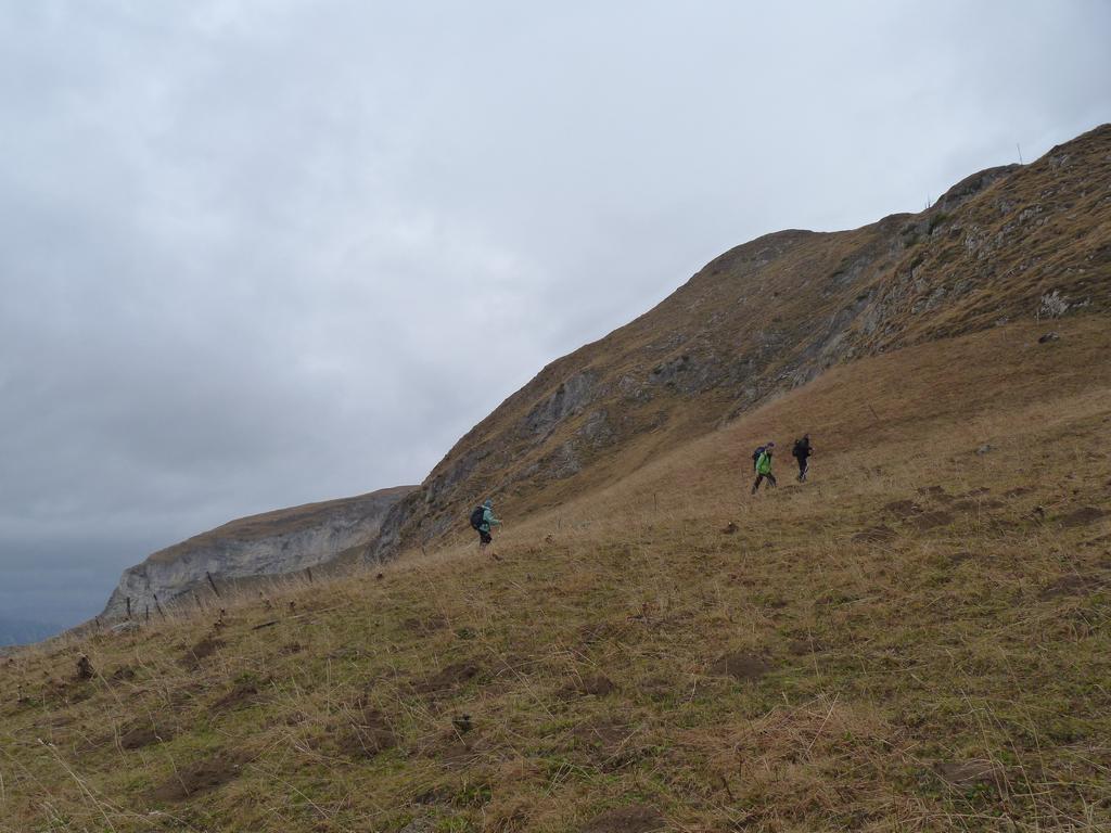 Clic pour l'image suivante