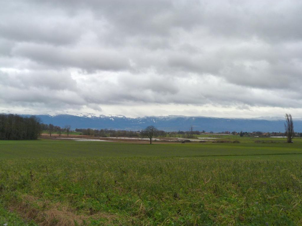 Clic pour l'image suivante