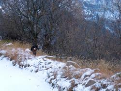 Clic pour agrandir l'image (1024x768 pixels; 157 KB)