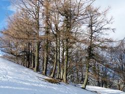 Clic pour agrandir l'image (1024x768 pixels; 257 KB)