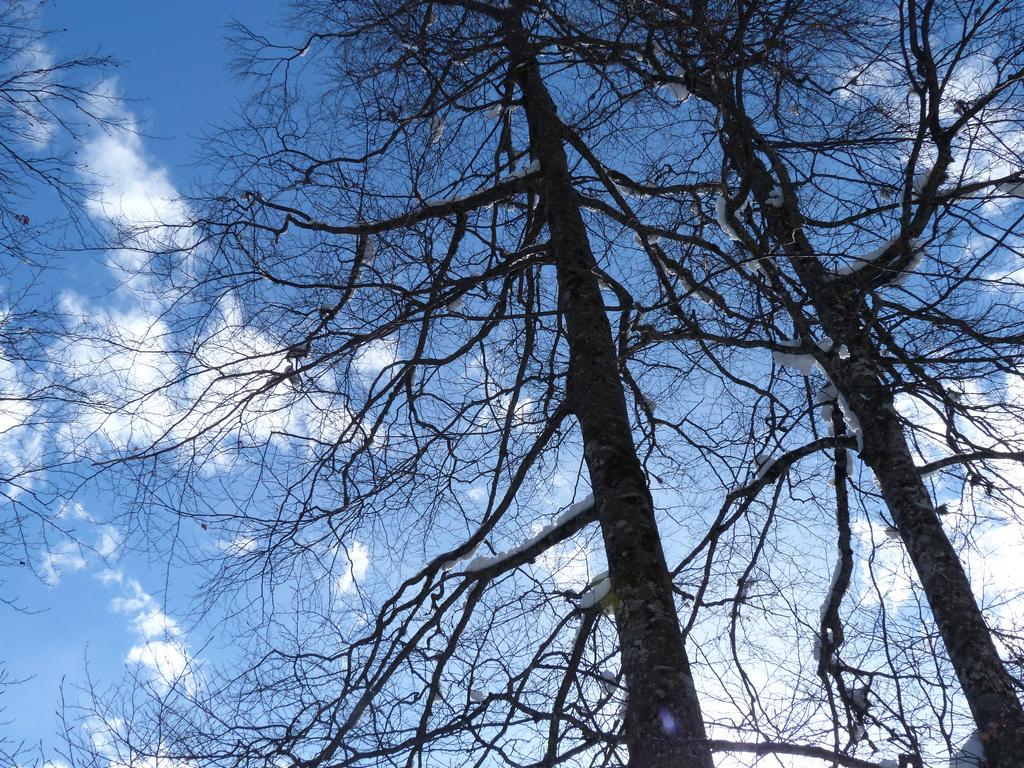 Clic pour l'image suivante