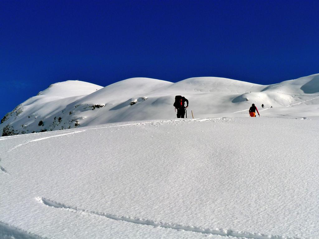 Clic pour l'image suivante