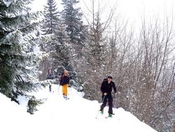 Clic pour agrandir l'image (1024x768 pixels; 218 KB)