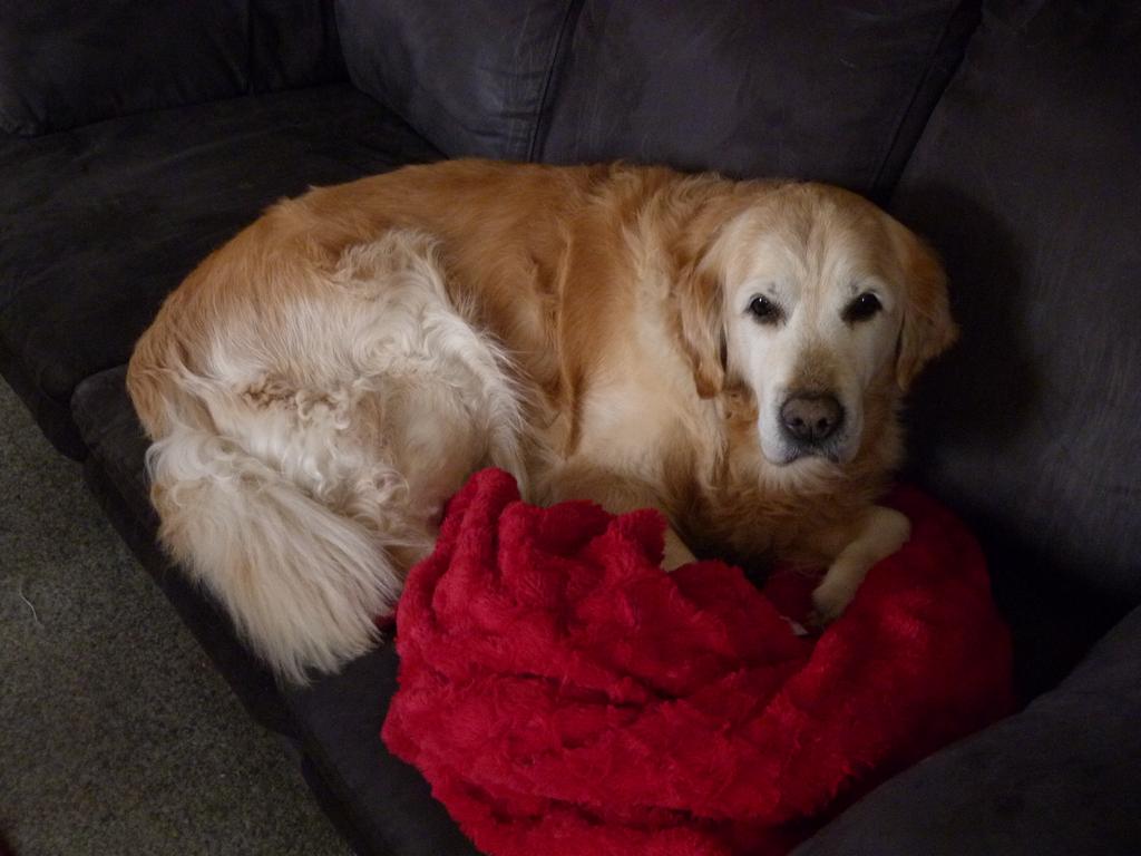 Clic pour l'image suivante