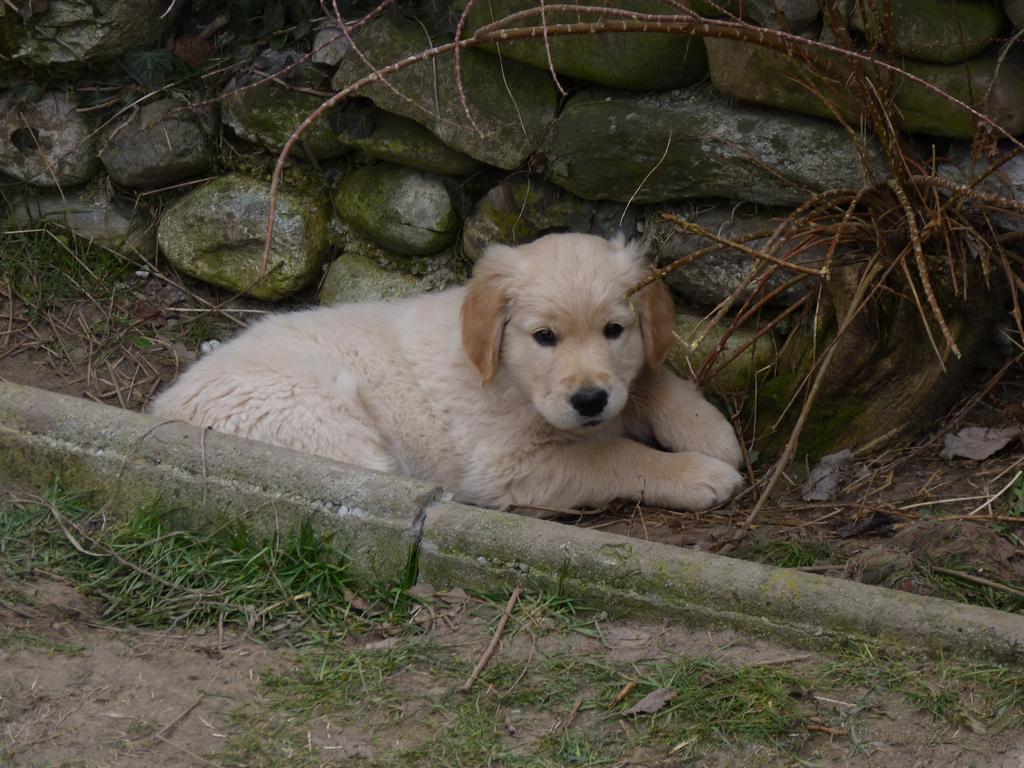 Clic pour l'image suivante