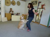 Clic pour agrandir l'image (1024x768 pixels; 92 KB)