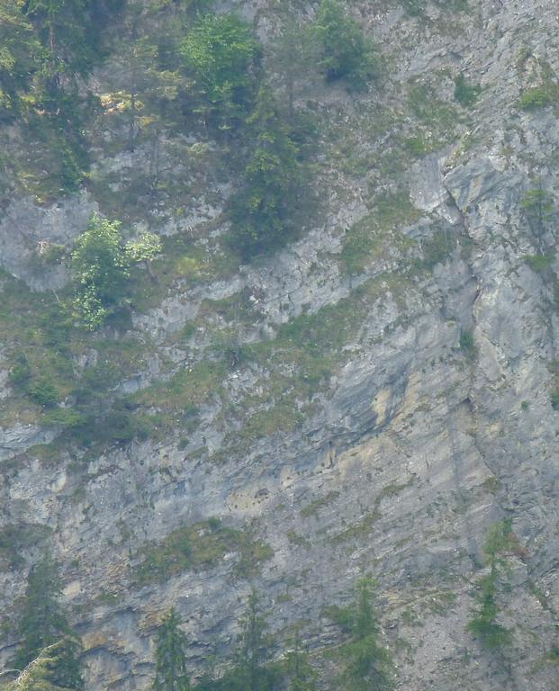 Clic pour l'image suivante