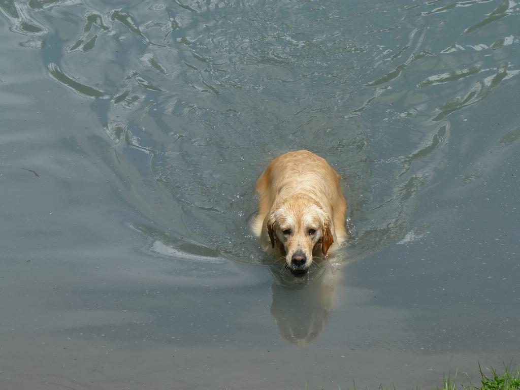 Clic pour l'image suivante