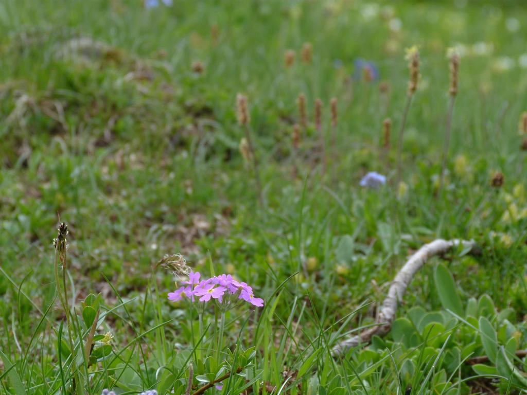 Clic pour l'image suivante