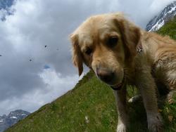 Clic pour agrandir l'image (1024x768 pixels; 100 KB)