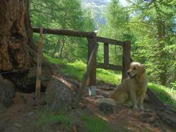 Clic pour agrandir l'image (1024x768 pixels; 175 KB)