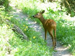 Clic pour agrandir l'image (1024x768 pixels; 172 KB)