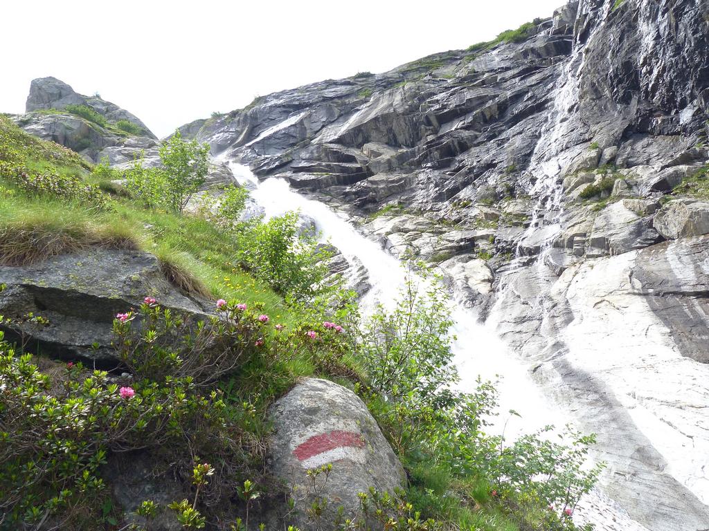 Clic pour l'image suivante