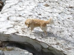 Clic pour agrandir l'image (1024x768 pixels; 164 KB)