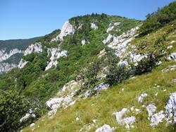 Clic pour agrandir l'image (1024x768 pixels; 201 KB)