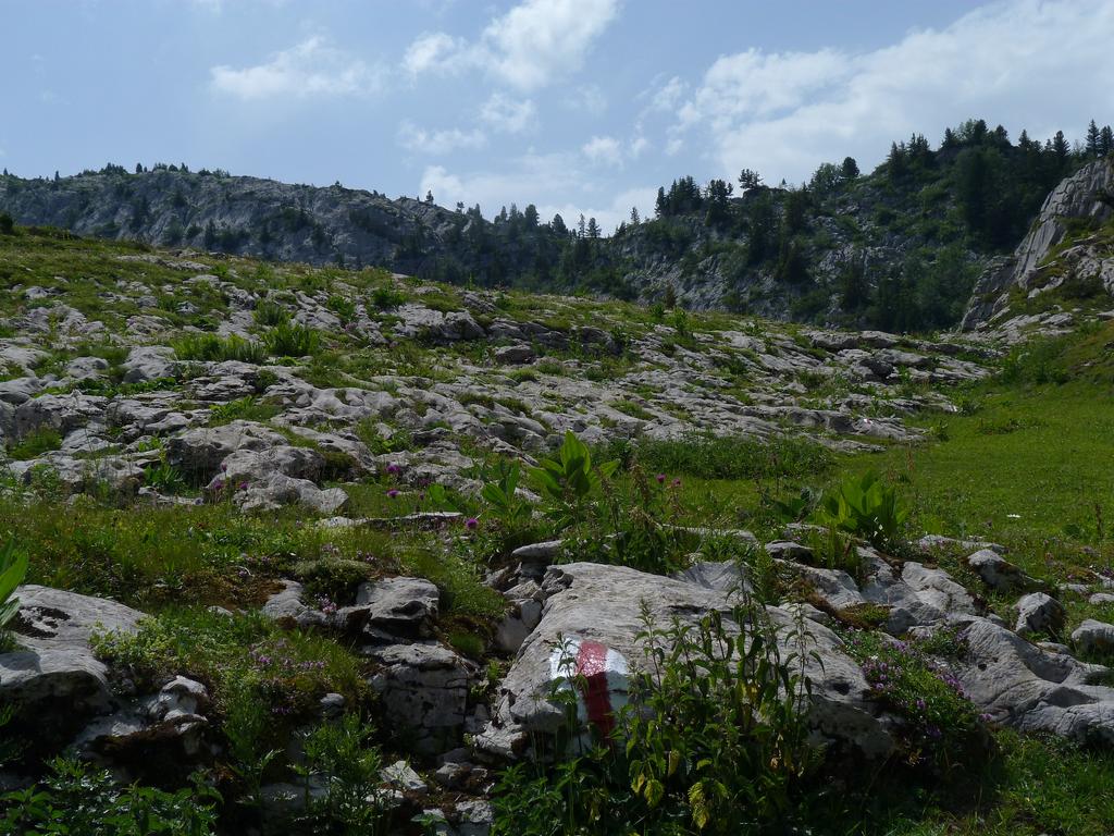 Clic pour l'image suivante