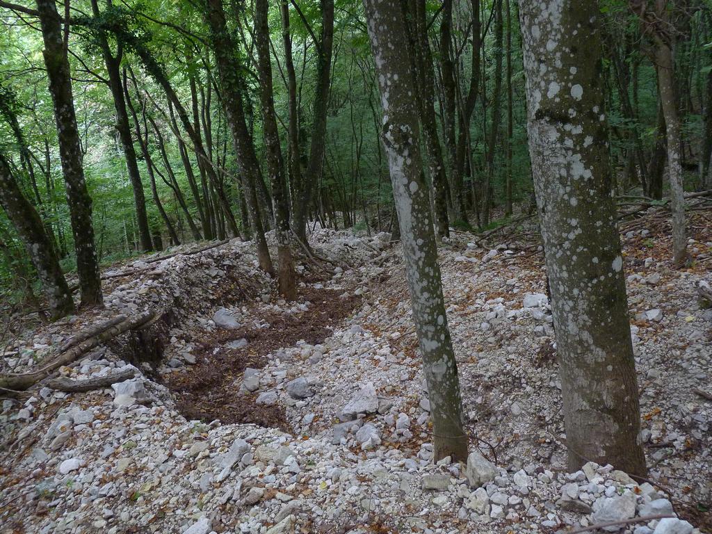 Clic pour l'image suivante