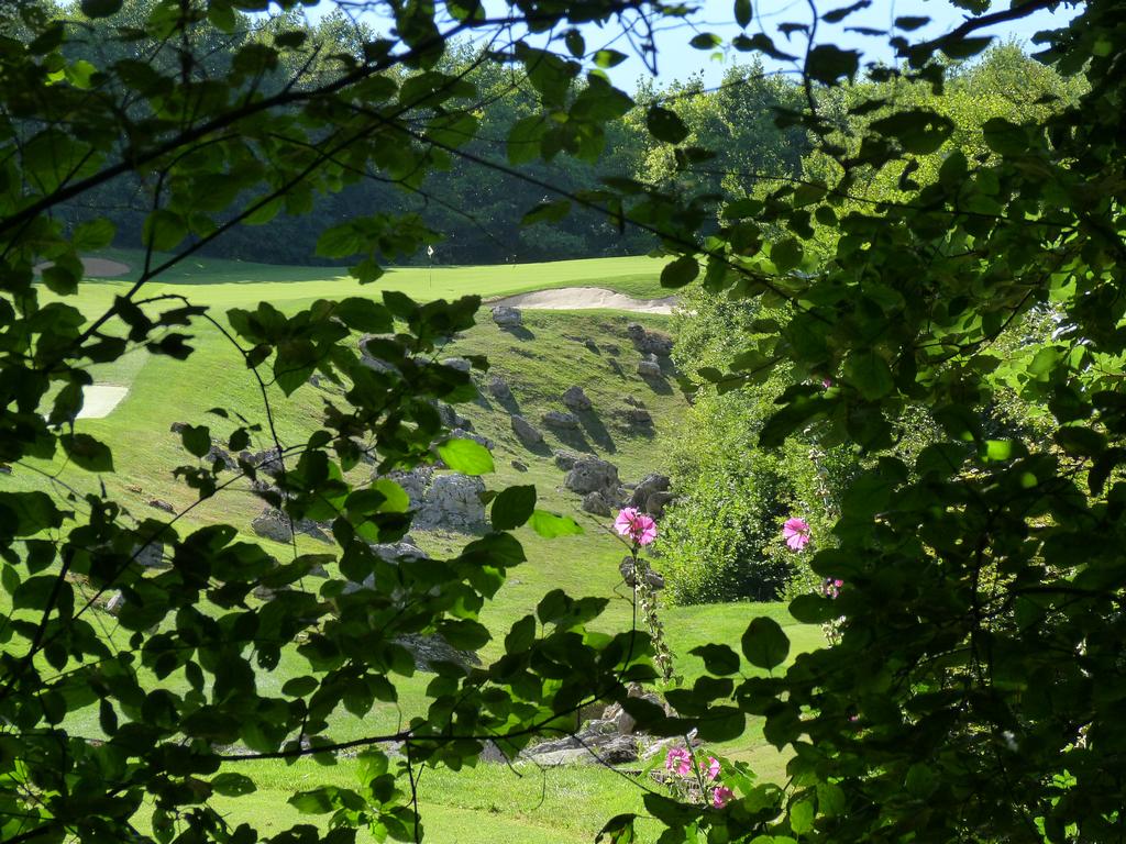 Clic pour l'image suivante